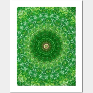 Mandalas and energies Posters and Art